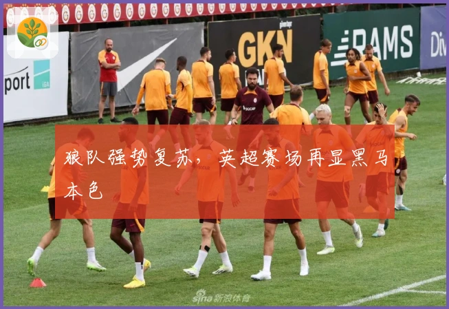 狼队强势复苏,英超赛场再显黑马本色