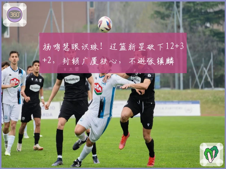 杨鸣慧眼识珠！辽篮新星砍下12+3+2，封锁广厦核心，不逊张镇麟