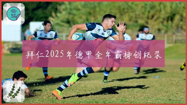 拜仁2025年德甲全年霸榜创纪录